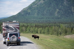 Alaska Highway