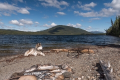 Big Salmon River Tour