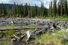 Big Salmon River Tour