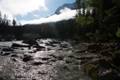 Yoho NP