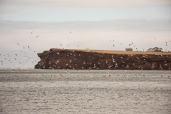 Gaspé Halbinsel