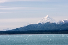 Yakutat Bay