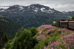 White Pass - Yukon Railway