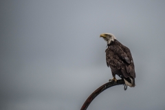 Ketchikan
