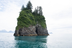 Kenai Fjords
