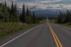 McCarthy Road