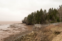 Hopewell Rocks