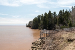 Hopewell Rocks