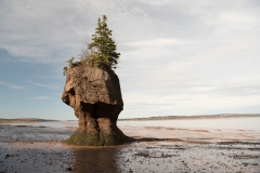 Hopewell Rocks