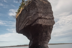 Hopewell Rocks