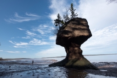 Hopewell Rocks