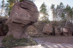 Hopewell Rocks
