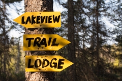 Algonquin Park