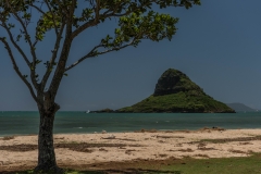Oahu