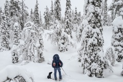 Pyhä-Luosto National Park