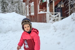 Torvisen Maja