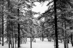 Rovaniemi