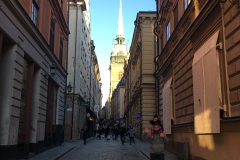 IMG_7798.jpg