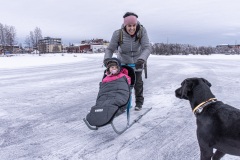 Luleå